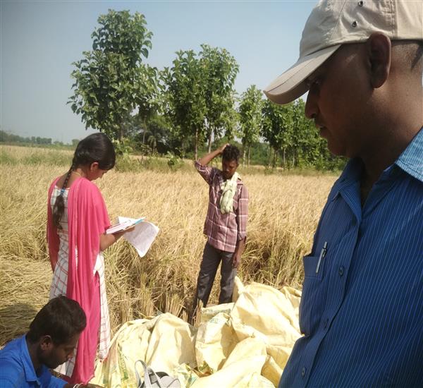 Peddapalli District - Peddapalle Division                                                                                                                                                                                                                  - Crop Cutting Expts.,                                                                                                                                   - Attended PMFBY Paddy supervision at Telukunta Village of Julapalle Mandal                                                                                                                                                                                       - dt.23/11/2019          